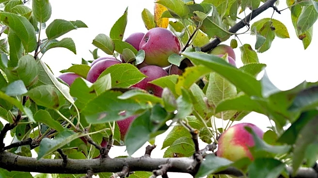 Maine Allocates Over $450,000 to Boost Specialty Crop Agriculture