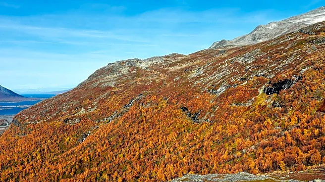 White Mountains Weather Outlook: Dry Conditions Expected