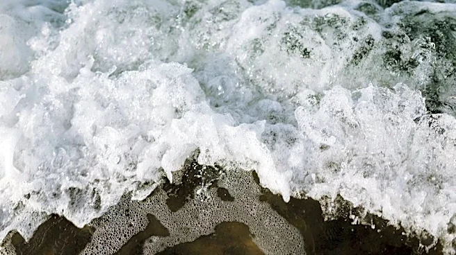 King Tides Explained: Why US Coastlines Face Sudden Flooding