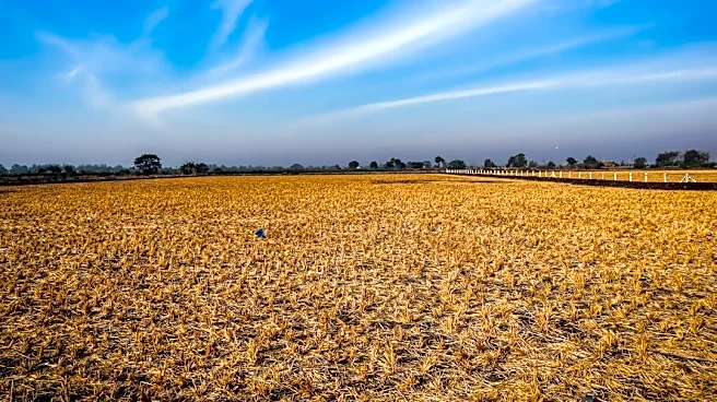 Drought Persists Across Eastern U.S., Impacts Agriculture