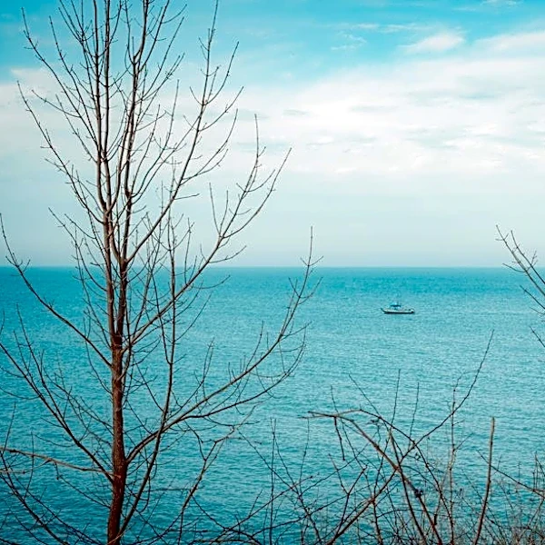 El Nino to Bring Warmer, Drier Winter to Great Lakes