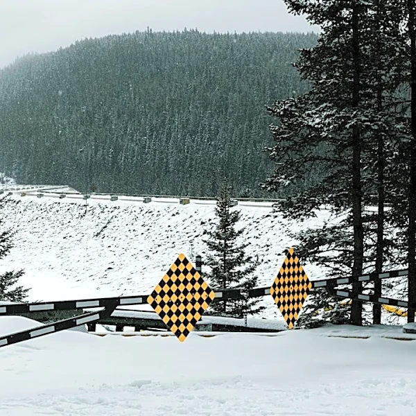 Winter Travel Advisory: Mount Rainier National Park Updates Road Status