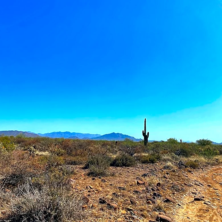 Arizona Faces Persistent Drought Conditions