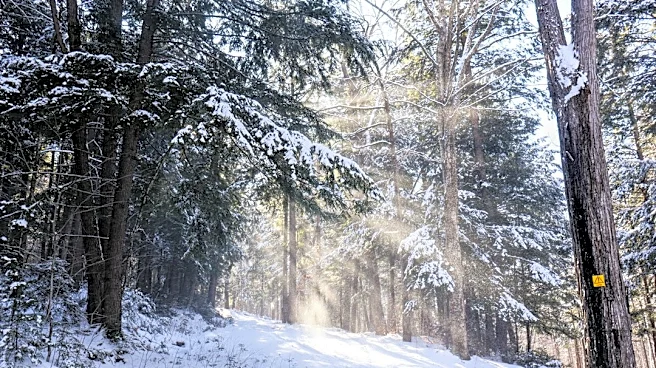 15 Years Since Record-Breaking Winter Storm Alfred