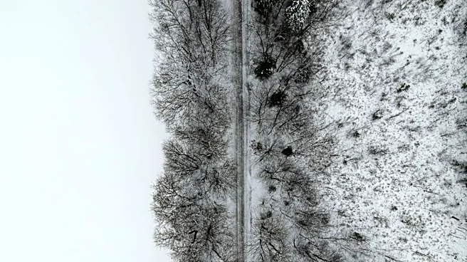 October Nor’easter Brought Heavy Snow to Vermont in 2011