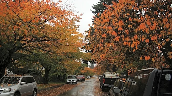 Rain to Dampen Halloween Festivities Across 20 States