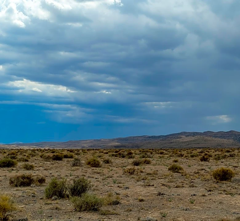 Understanding Cooling Trends in the Desert Southwest