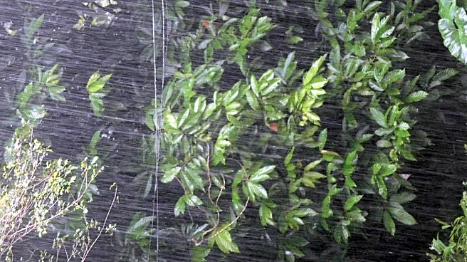 How to Protect Your Garden from Fall Frost with Poly Tarps