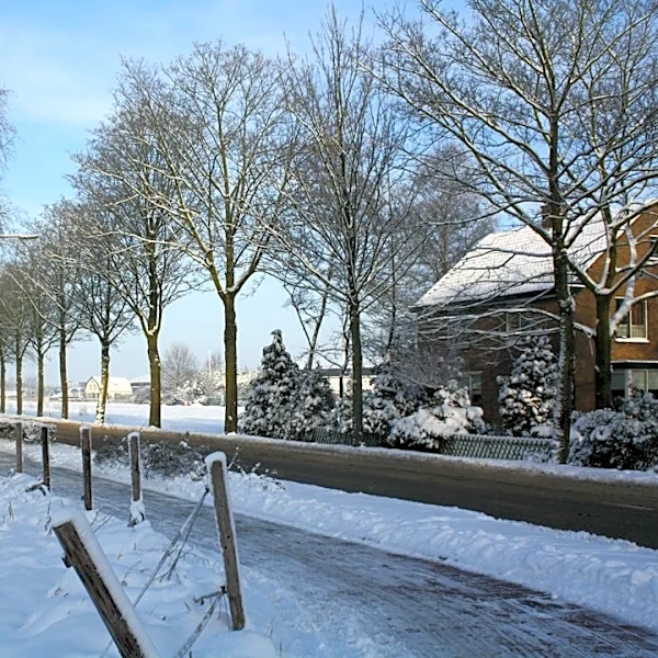 Snow Shoveling Safety: Tips to Protect Your Health and Stay Prepared