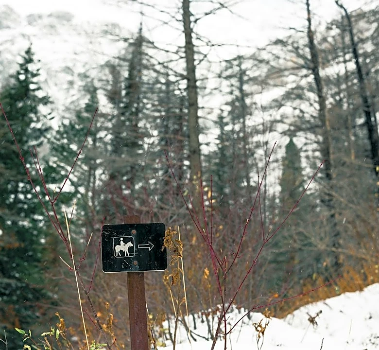 Douglas County Hosts Winter Weather Readiness Workshop