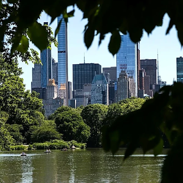 Sunny, Mild Weather Continues for NYC