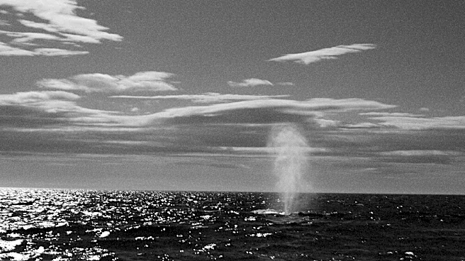Understanding Waterspouts: Tornadoes Over Water