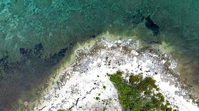 Rising Seas Alter Tourism on Key Islands