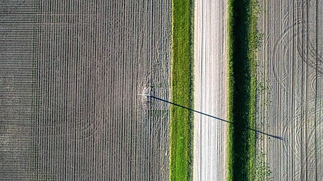 U.S. Crop Conditions Decline Amid Weather Challenges