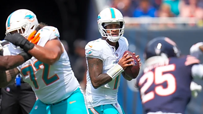 Dolphins, Bears finish in 24-24 tie in the preseason