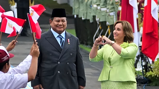 Leaders of Indonesia and Peru hold talks on trade and economic ties