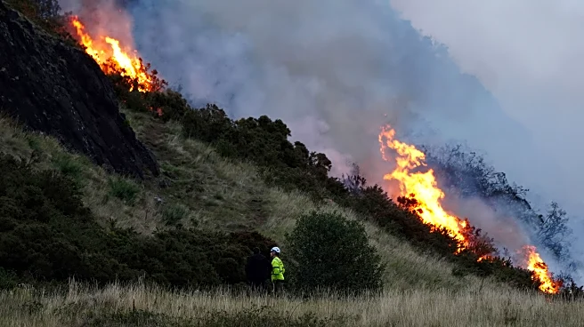Firefighters battle large gorse fire at Scottish tourist attraction