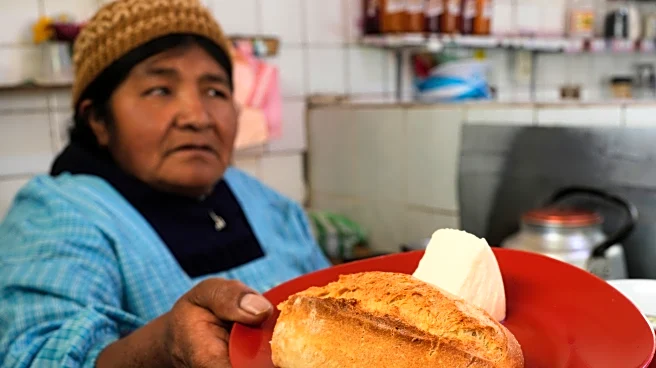 How a shrunken piece of bread explains Bolivia's economic catastrophe ahead of elections