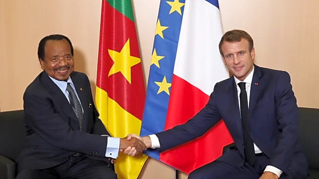 Macron admits France's repressive violence in Cameroon's war for independence