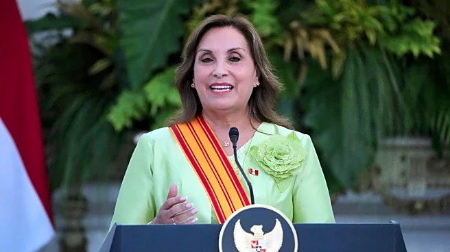 Peru enacts amnesty for military personnel and police in Shining Path insurgency