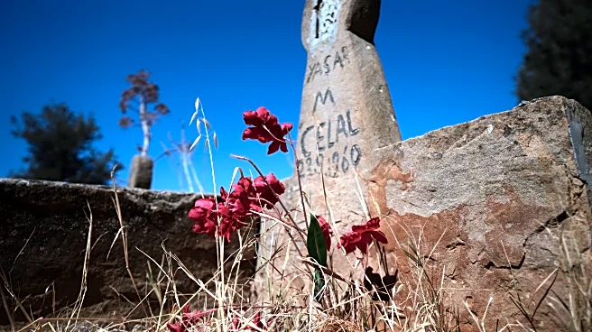 Grave by grave, a new project in divided Cyprus tries to mend mistrust