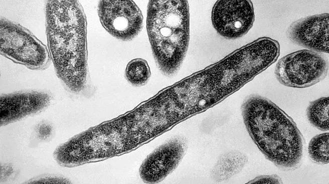4th person dies after a Legionnaires’ disease outbreak sickens dozens in New York City