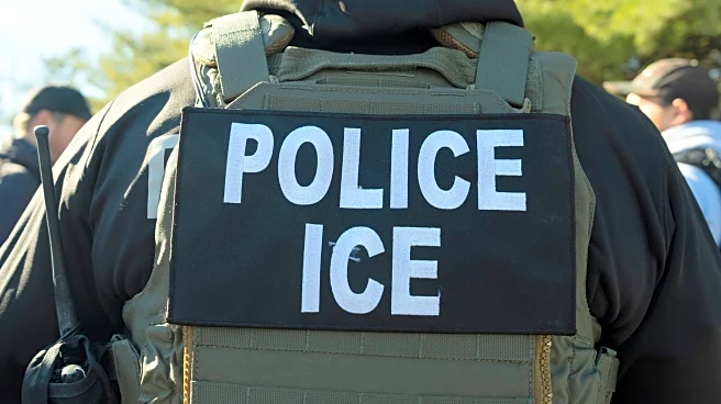 Man struck and killed on freeway after fleeing immigration agents, California official says
