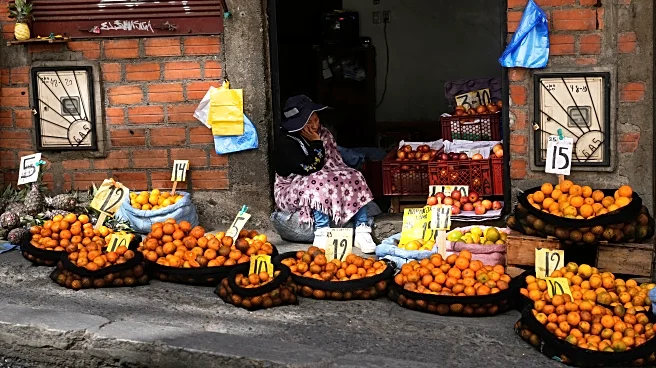 Polls in Bolivia open for national elections that could empower the right wing