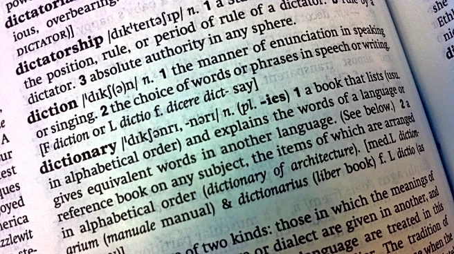 Cambridge Dictionary adds 'skibidi' and 'tradwife' among 6,000 new words