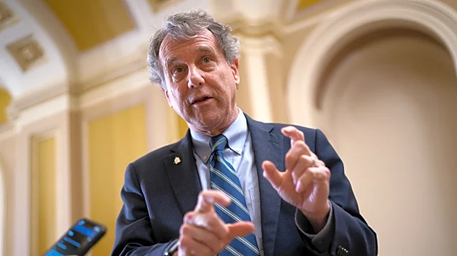 Ohio Democrat Sherrod Brown makes it official. He'll vie to unseat Trump-backed Sen. Jon Husted