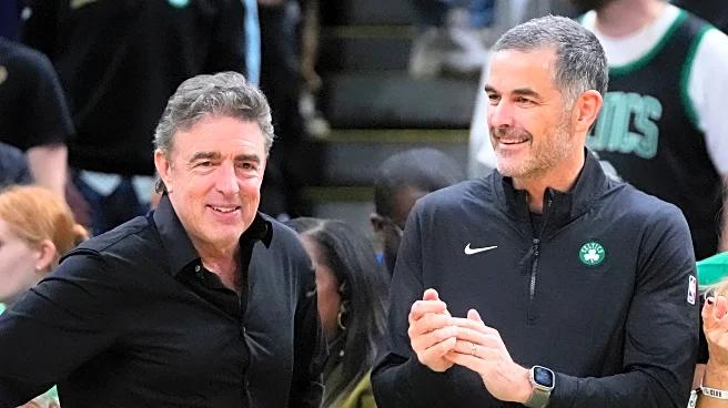 The Boston Celtics have a new owner. The drive to add more NBA championships won't change