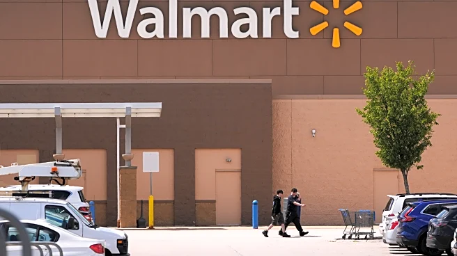 Walmart reports solid sales and profits as US tariffs worry some consumers