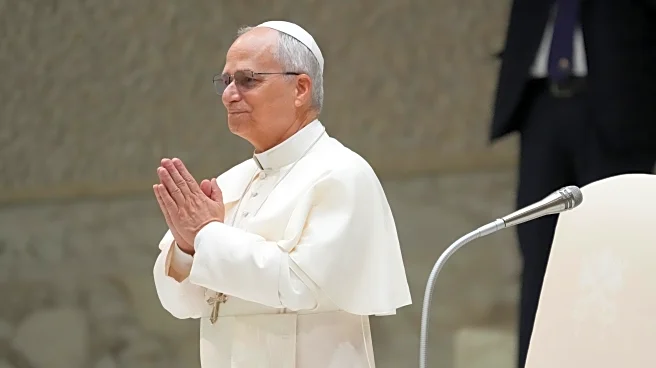 Pope Leo’s first international trip could be to Lebanon, cardinal says