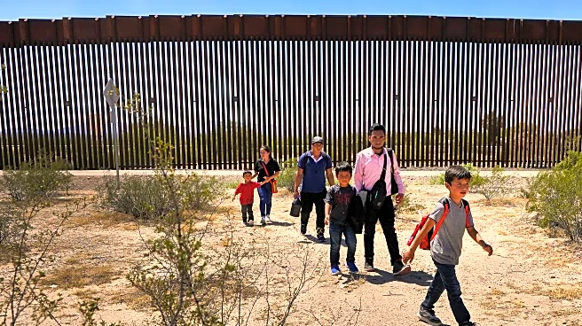 Illegal immigration hit a record-high of 14 million in the US in 2023, Pew report finds