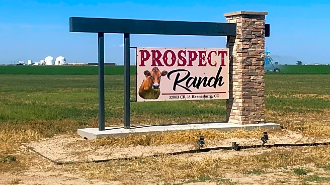 6 people are found dead at a Colorado dairy. Authorities suspect an accident involving gas exposure