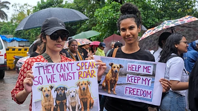 Court orders stray dogs in New Delhi released, easing its order to move them all to shelters