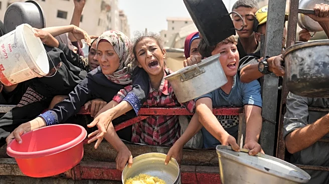 Famine grips Gaza's largest city and is likely to spread, authority on food crises says