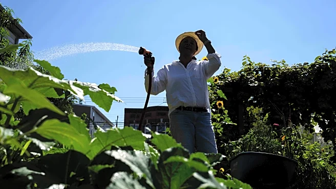 Green spaces are key to combating record heat in marginalized communities