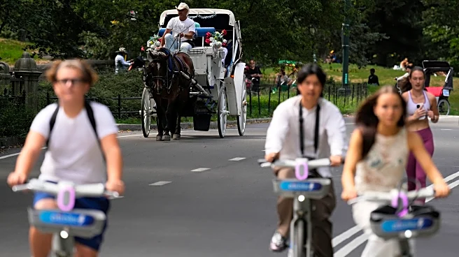 As bikes and strollers fill Central Park, its managers want to push horse carriages out