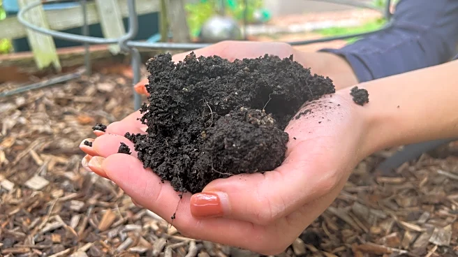 Gardening's hidden benefits: How digging in the dirt could bolster mental wellbeing