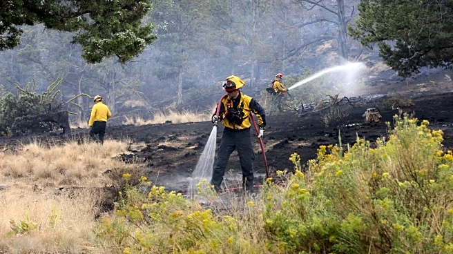 Firefighters try to corral California forest blaze as lightning strikes bring risk of new ignitions