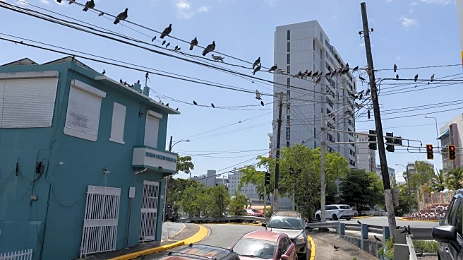 Deal to restructure Puerto Rico power company debt crumbles as some bondholders walk away