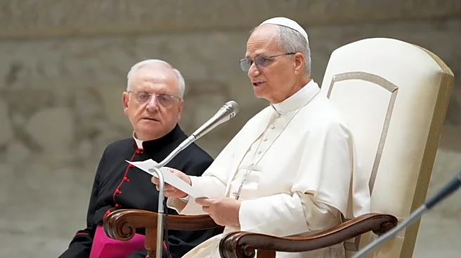 Pope demands end to 'collective punishment' and forced displacement of Palestinians in Gaza