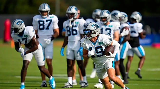 Vikings bring back veteran Thielen for WR depth in trade with Panthers, AP source says
