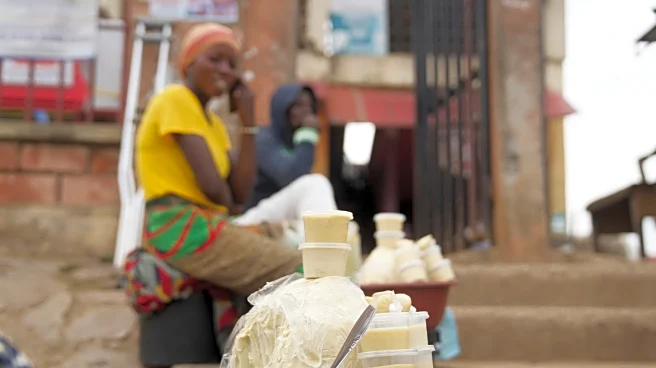 Nigeria bans exports of raw shea nuts used for cosmetic products to help grow local economy