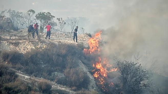 Fatal wildfire on Cyprus caused by 'carelessly discarded cigarette,' report finds