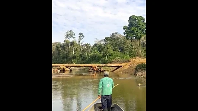 Isolated Amazon tribe seen near logging bridge site, alarming rights group