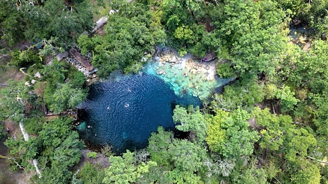 Florida's once-pristine springs threatened by pollution, development and climate change