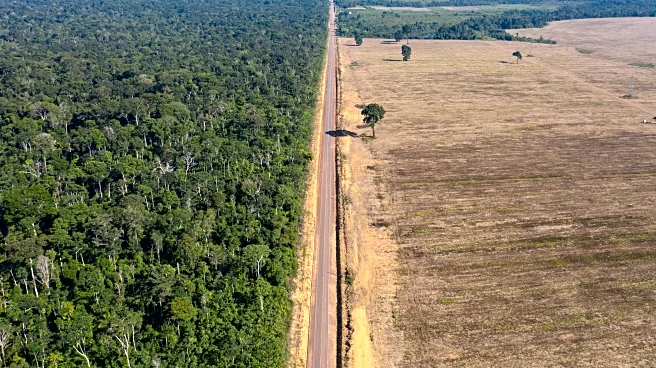 What Brazil’s soy moratorium fight means — and what happens next