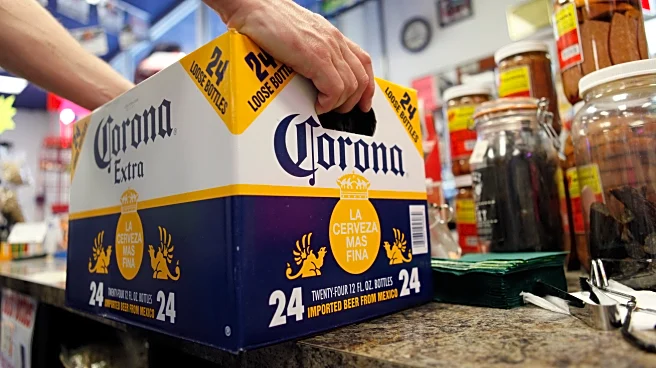 Modelo and Corona seller Constellation Brands says Hispanic consumers in the US are buying less beer